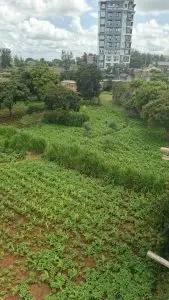 40 BY 60 PLOTS FOR SALE IN JUJA, GWA KAIRU.