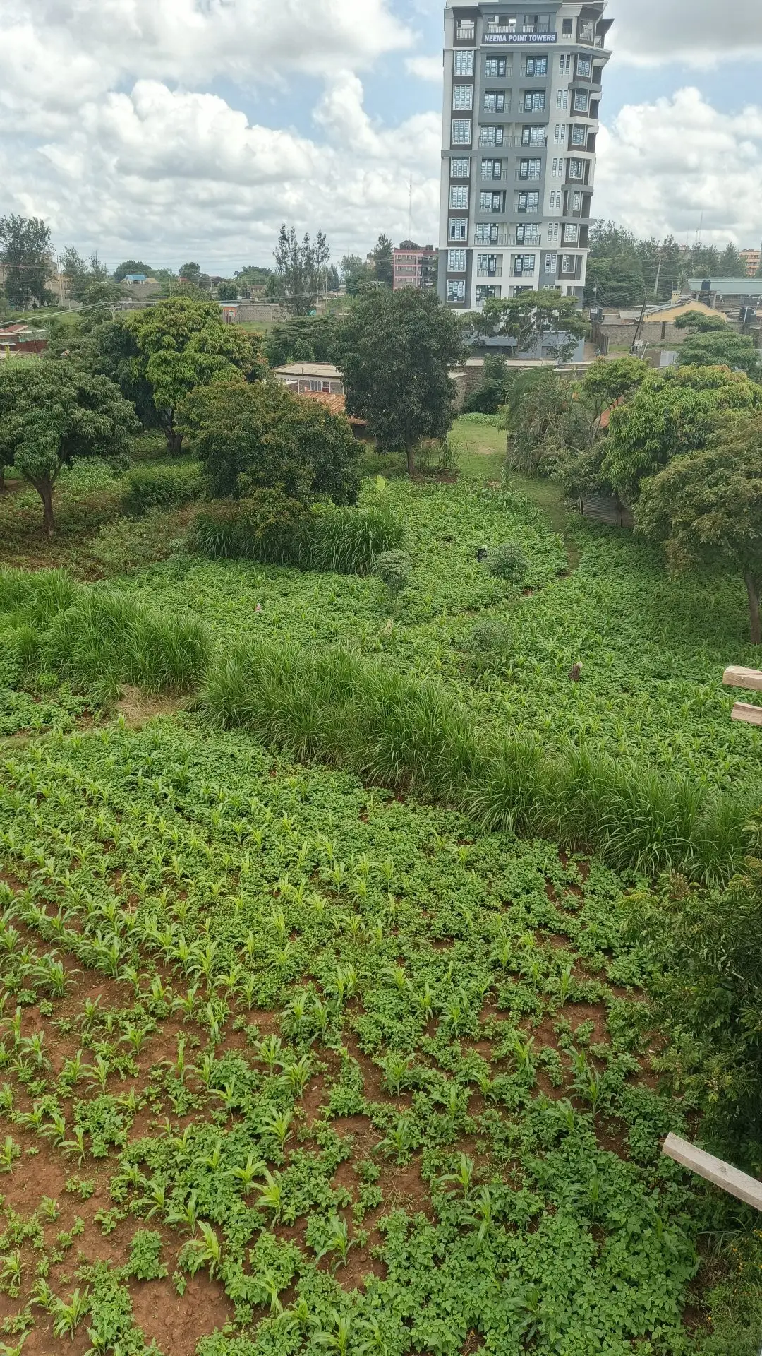 PLOTS FOR SALE IN JUJA, GWAKAIRU.