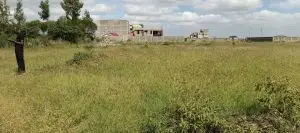 PLOTS FOR SALE IN JUJA FARM.