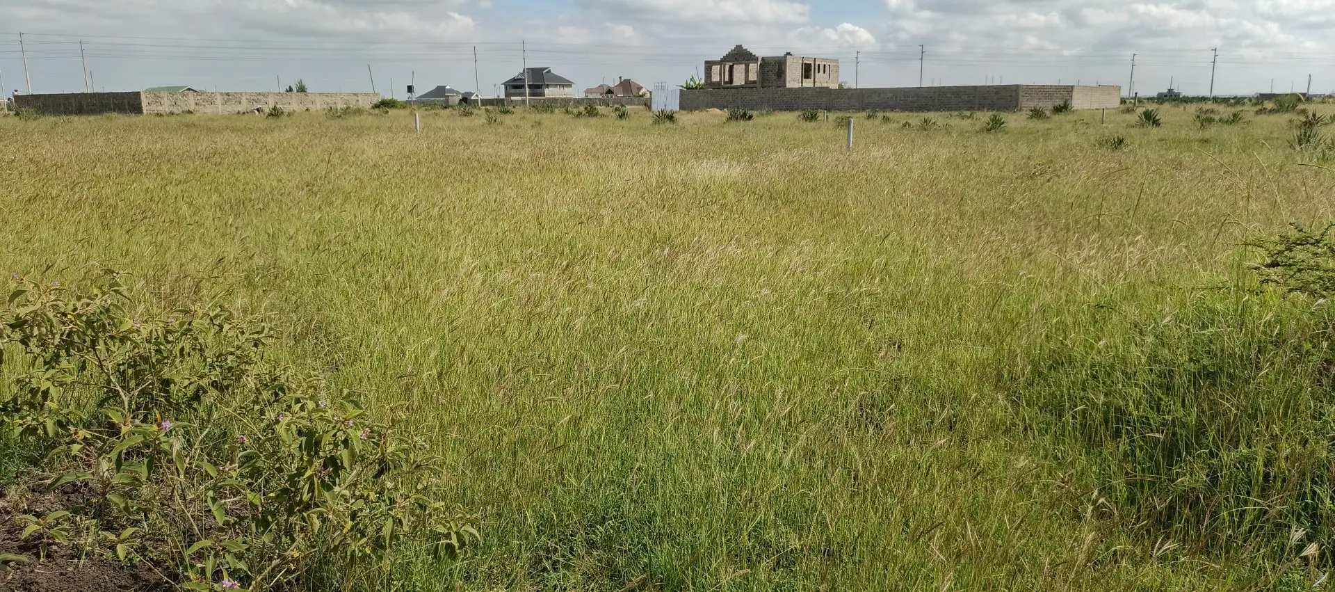 PLOTS FOR SALE IN JUJA FARM.