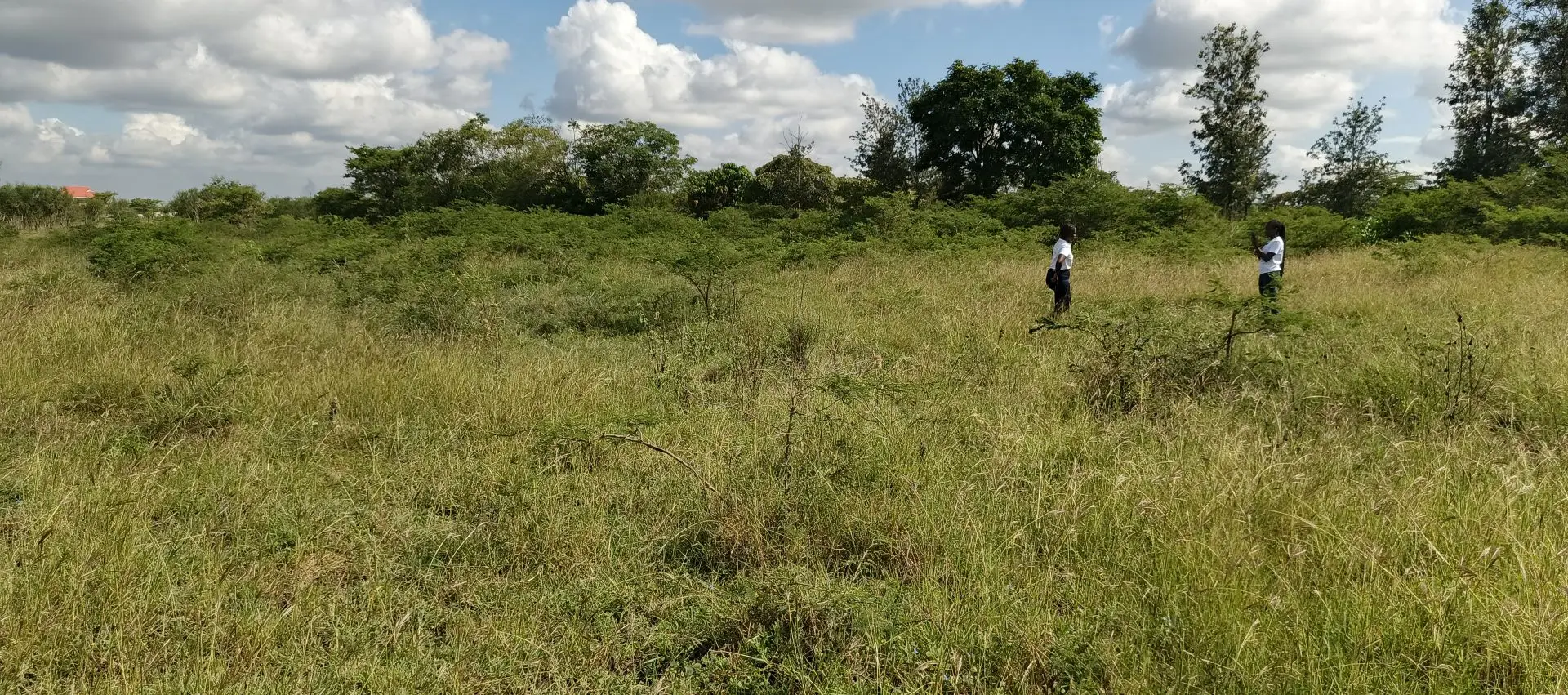PLOTS FOR SALE IN JUJA FARM.