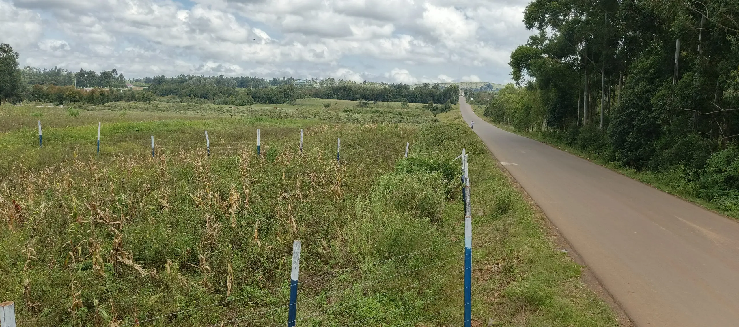 50 BY 100 PLOTS FOR SALE IN KIKUYU, NGUIRUBI.