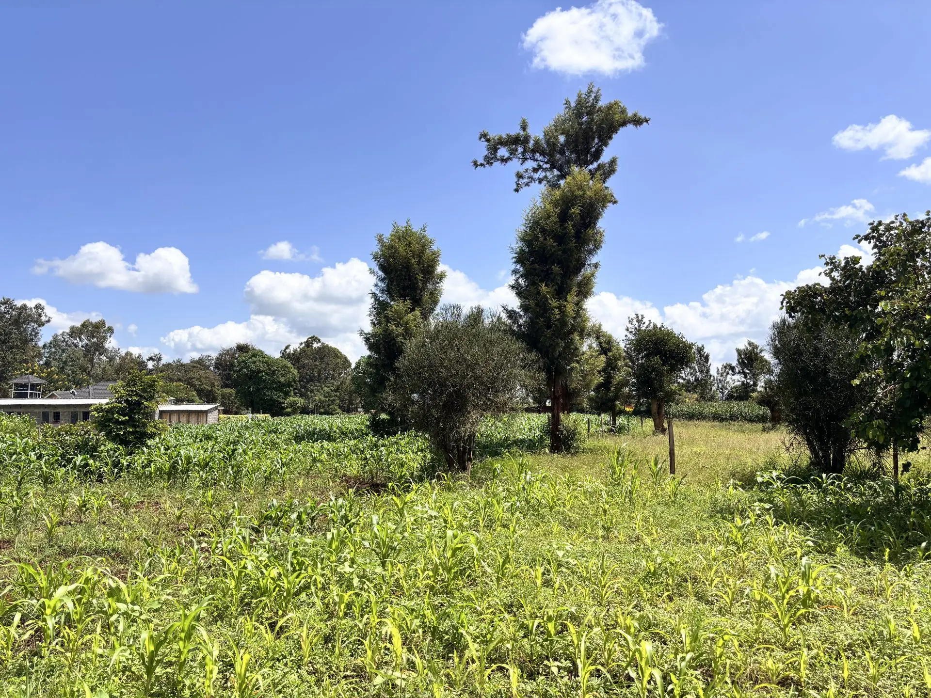 QUARTER ACRE FOR SALE IN KIMBIMBI, KEROGUYA