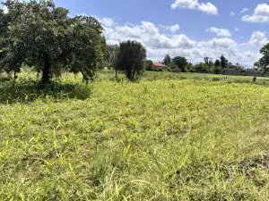 QUARTER ACRE FOR SALE IN KIMBIMBI, KEROGUYA