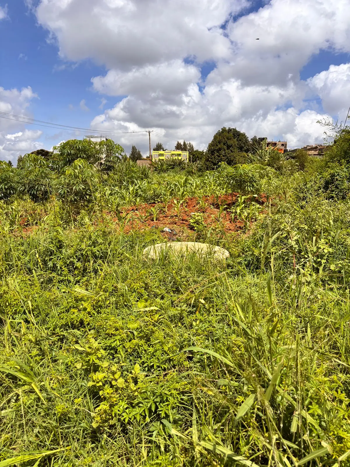 40 BY 60 PLOTS FOR SALE IN JUJA, GWA KAIRU.