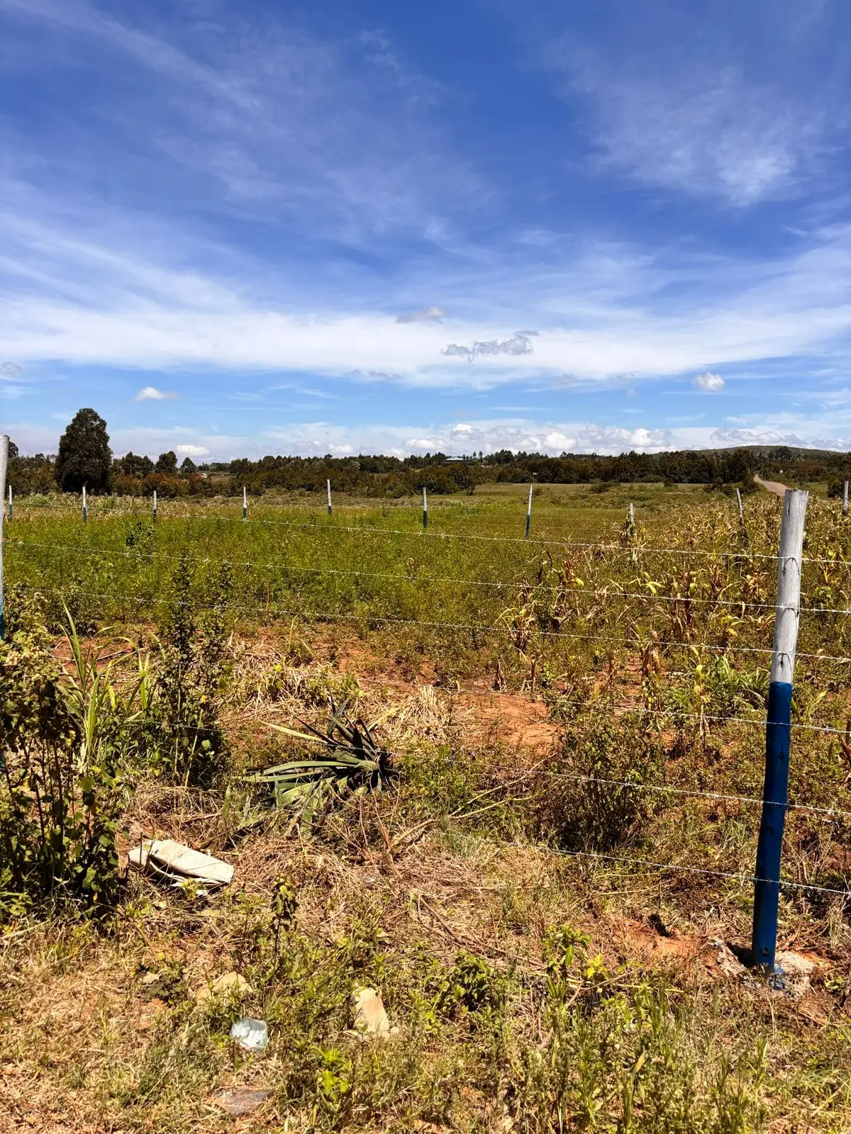 50 BY 100 PLOTS FOR SALE IN KIKUYU, NGUIRUBI