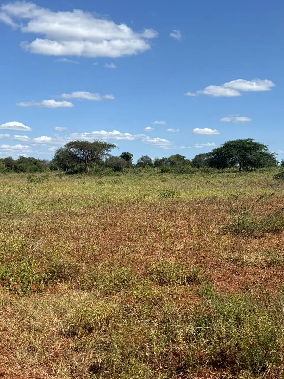 LAND FOR SALE IN MACHAKOS, MASINGA.