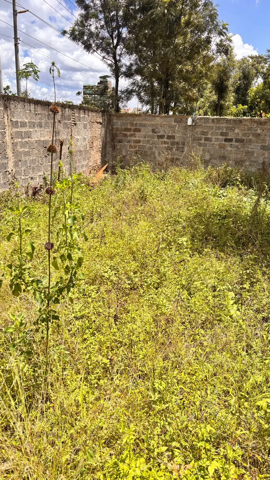 40 BY 60 PLOTS FOR SALE IN JUJA, GWA KAIRU.