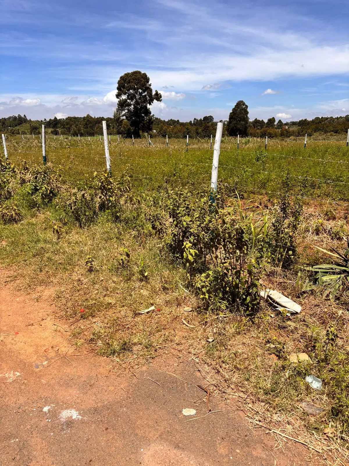 50 BY 100 PLOTS FOR SALE IN KIKUYU, NGUIRUBI