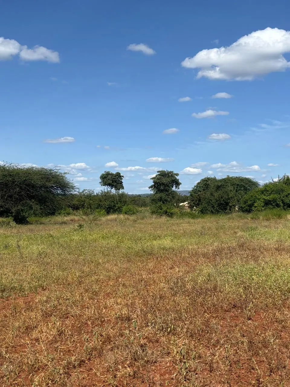 LAND FOR SALE IN MASINGA.
