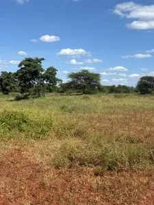 LAND FOR SALE IN MACHAKOS, MASINGA.