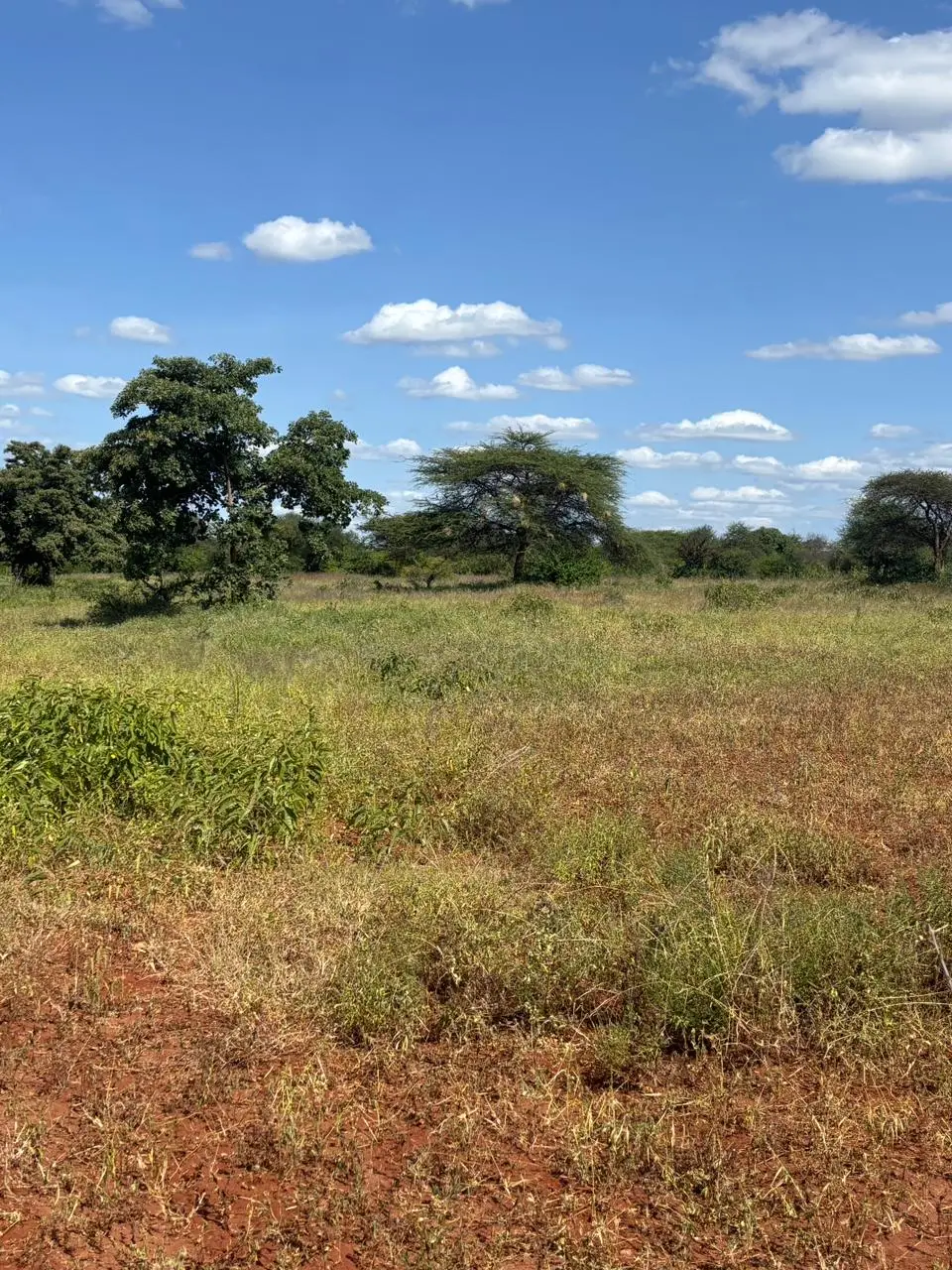 LAND FOR SALE IN MACHAKOS, MASINGA.