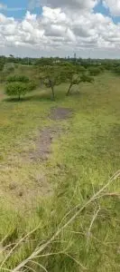 50 BY 100 PLOTS FOR SALE IN JUJA FARM.
