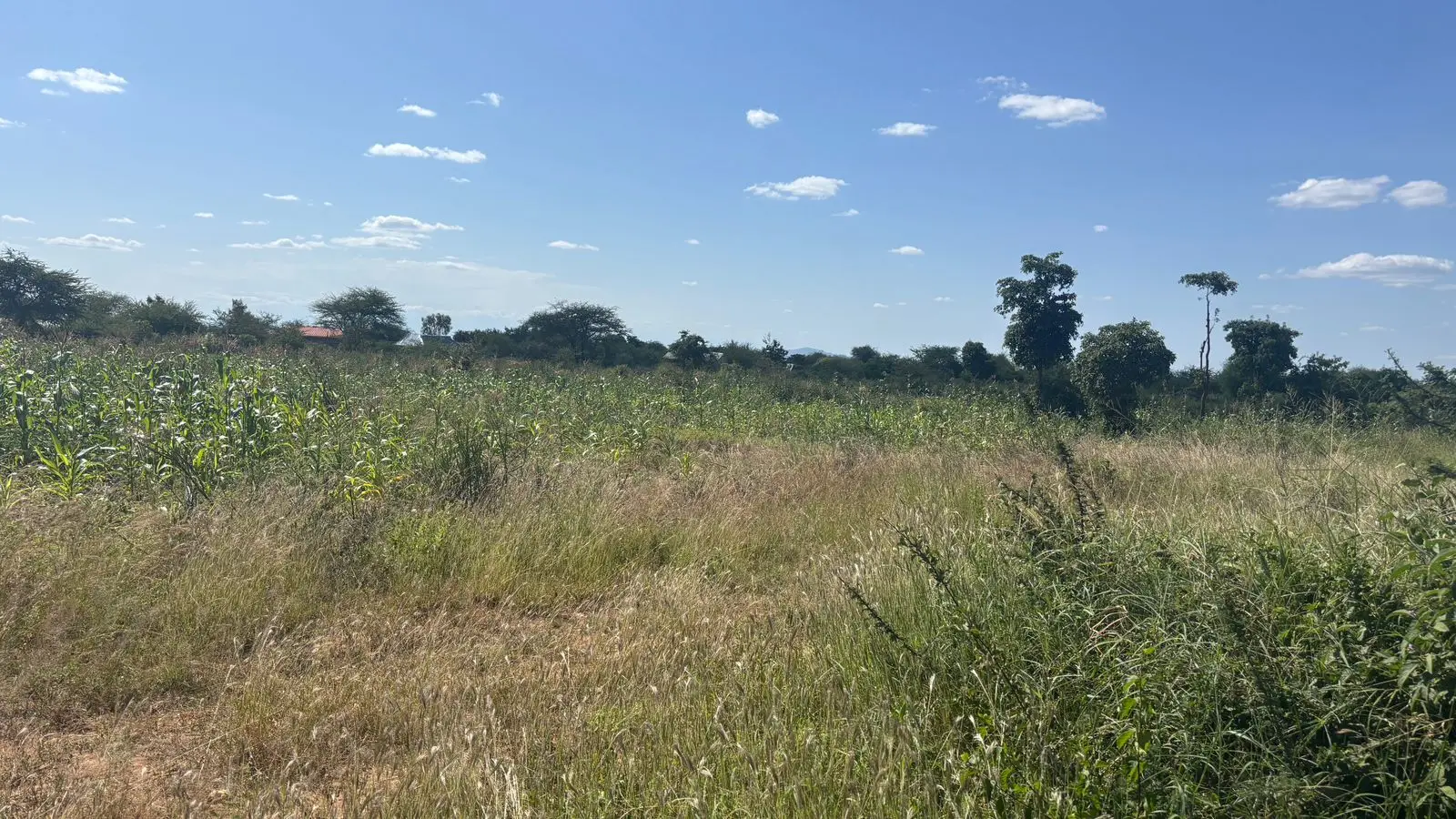 LAND FOR SALE IN MACHAKOS, MASINGA.