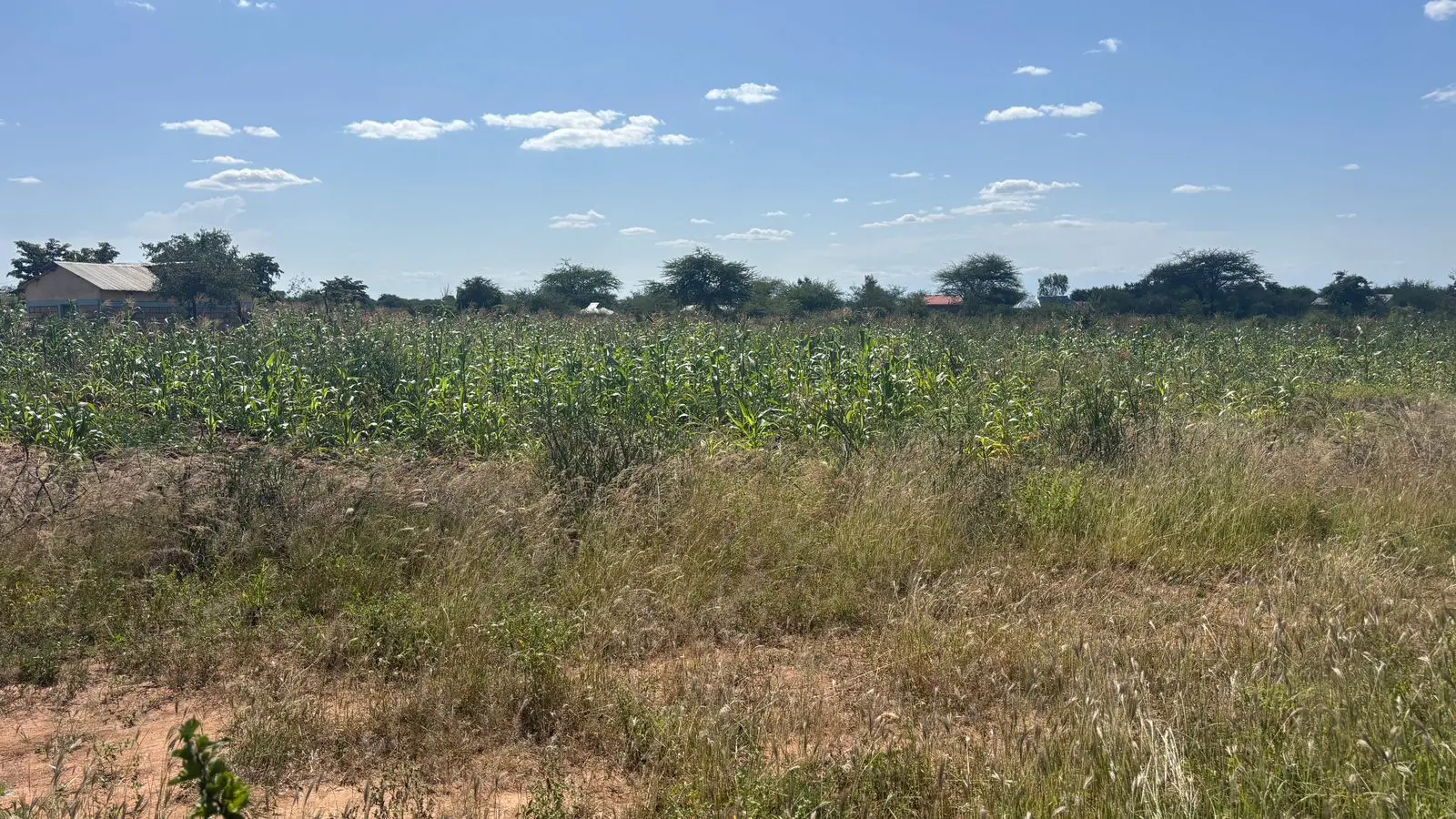5 ACRES FOR SALE IN MASINGA.