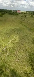 50 BY 100 PLOTS FOR SALE IN JUJA FARM.