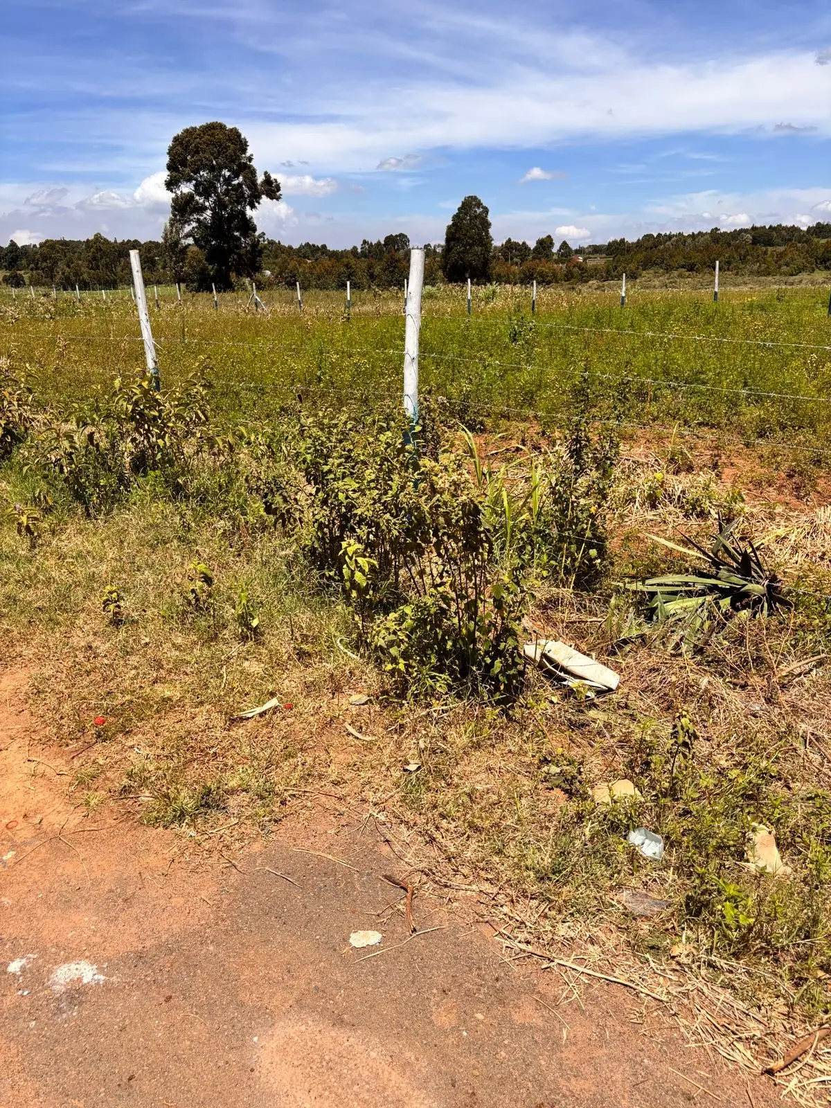 50 BY 100 PLOTS FOR SALE IN KIKUYU, NGUIRUBI