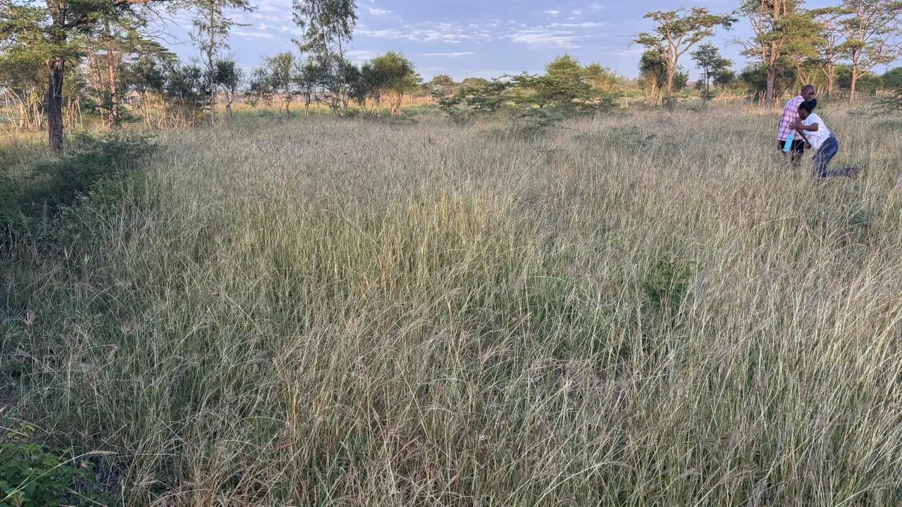 50 BY 100 PLOTS FOR SALE IN JUJA FARM.