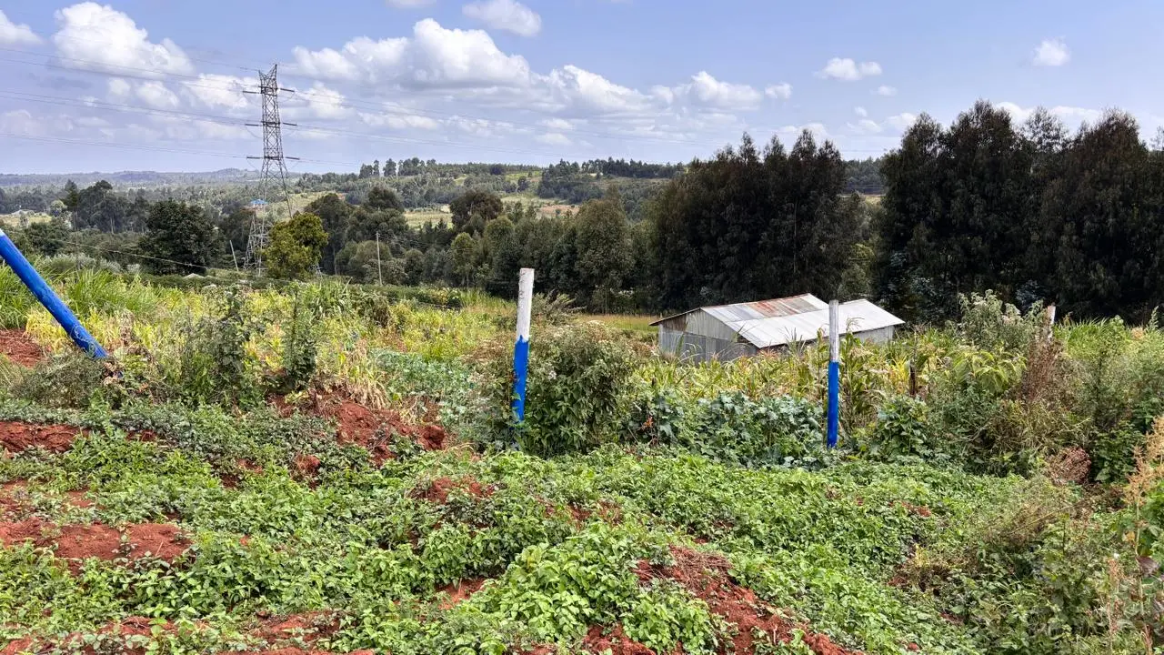 50 BY 100 PLOTS FOR SALE IN KIKUYU, THIGIO.