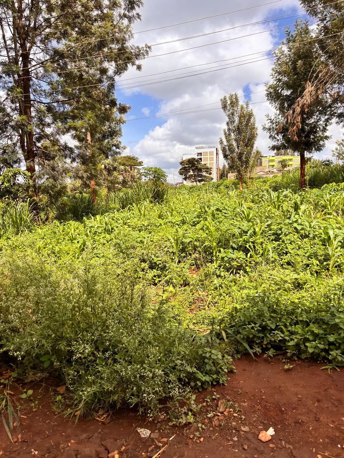 40 BY 60 PLOTS FOR SALE IN JUJA, GWA KAIRU.