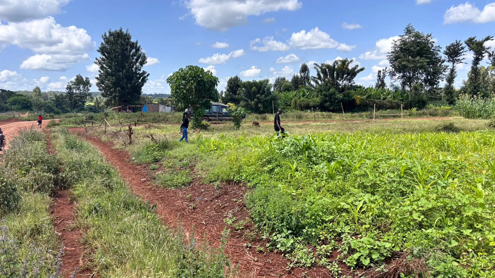 QUARTER ACRE FOR SALE IN KIMBIMBI.