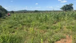 LAND FOR SALE IN MACHAKOS, MASINGA.