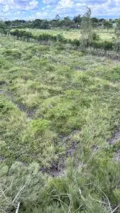 50 BY 100 PLOTS FOR SALE IN JUJA FARM.