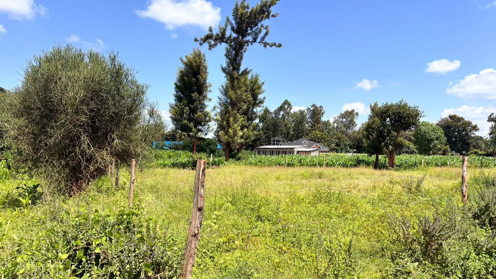 QUARTER ACRE FOR SALE IN KIMBIMBI.