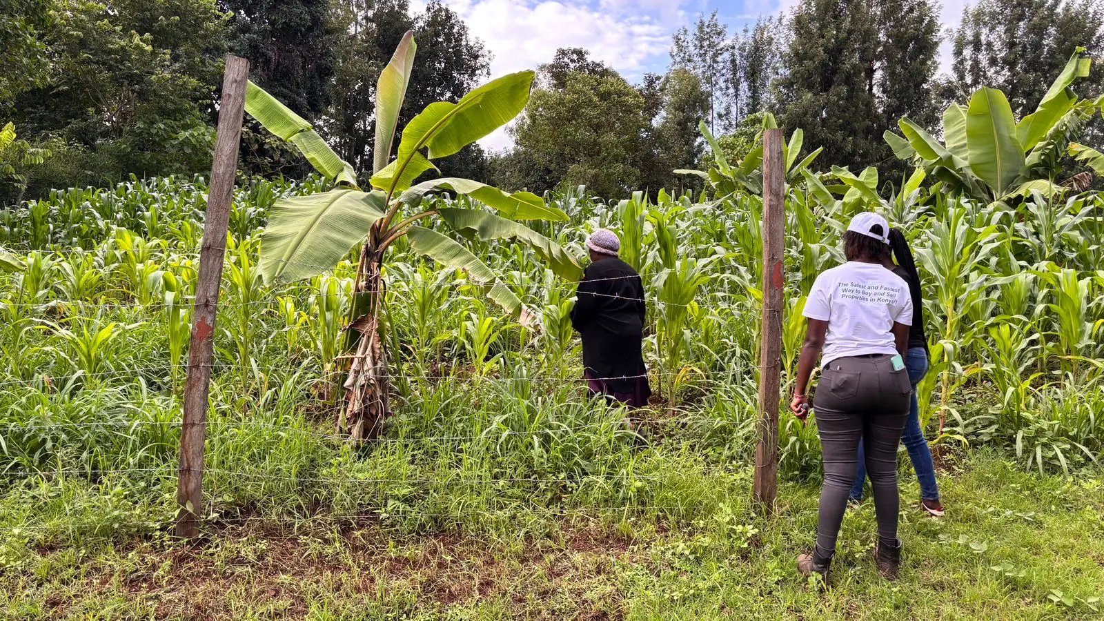 QUARTER ACRE FOR SALE IN KIRUGOYA.