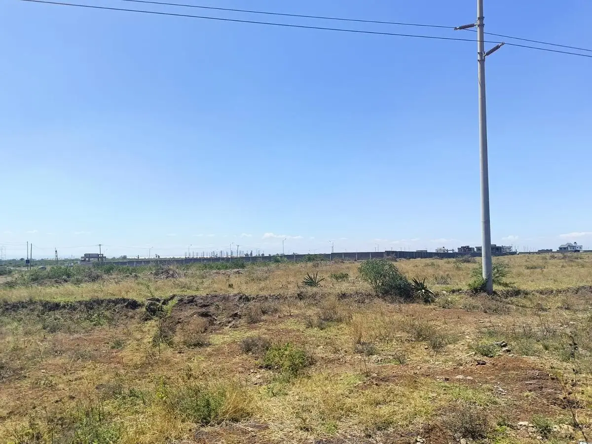 50 BY 100 PLOTS FOR SALE IN JUJA, KALIMONI.