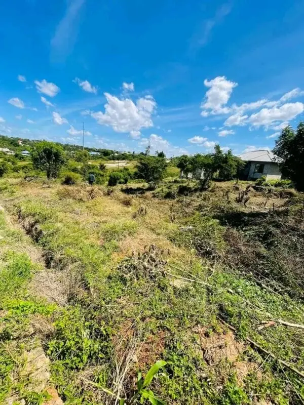 50 BY 100 PLOTS FOR SALE IN MATUU