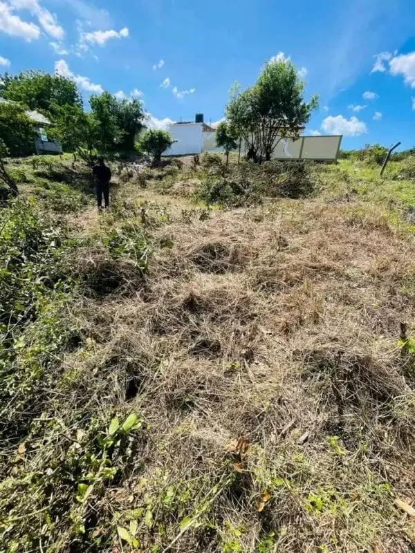 50 BY 100 PLOTS FOR SALE IN MATUU