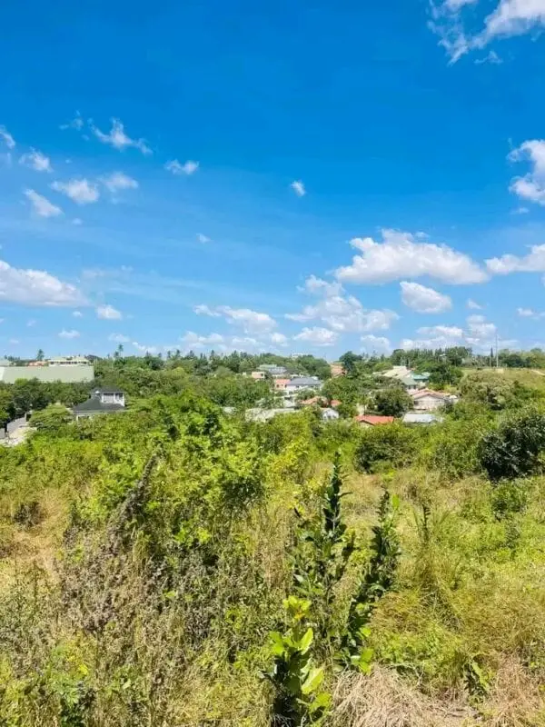 50 BY 100 PLOTS FOR SALE IN MATUU