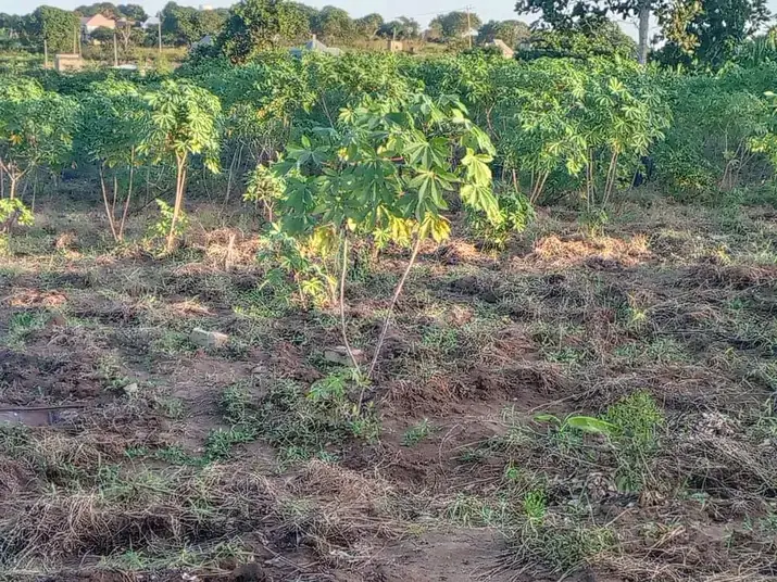 1 ACRE FOR SALE IN MARAGWA, MAKUYU.