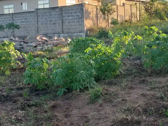1 ACRE FOR SALE IN MARAGWA, MAKUYU.