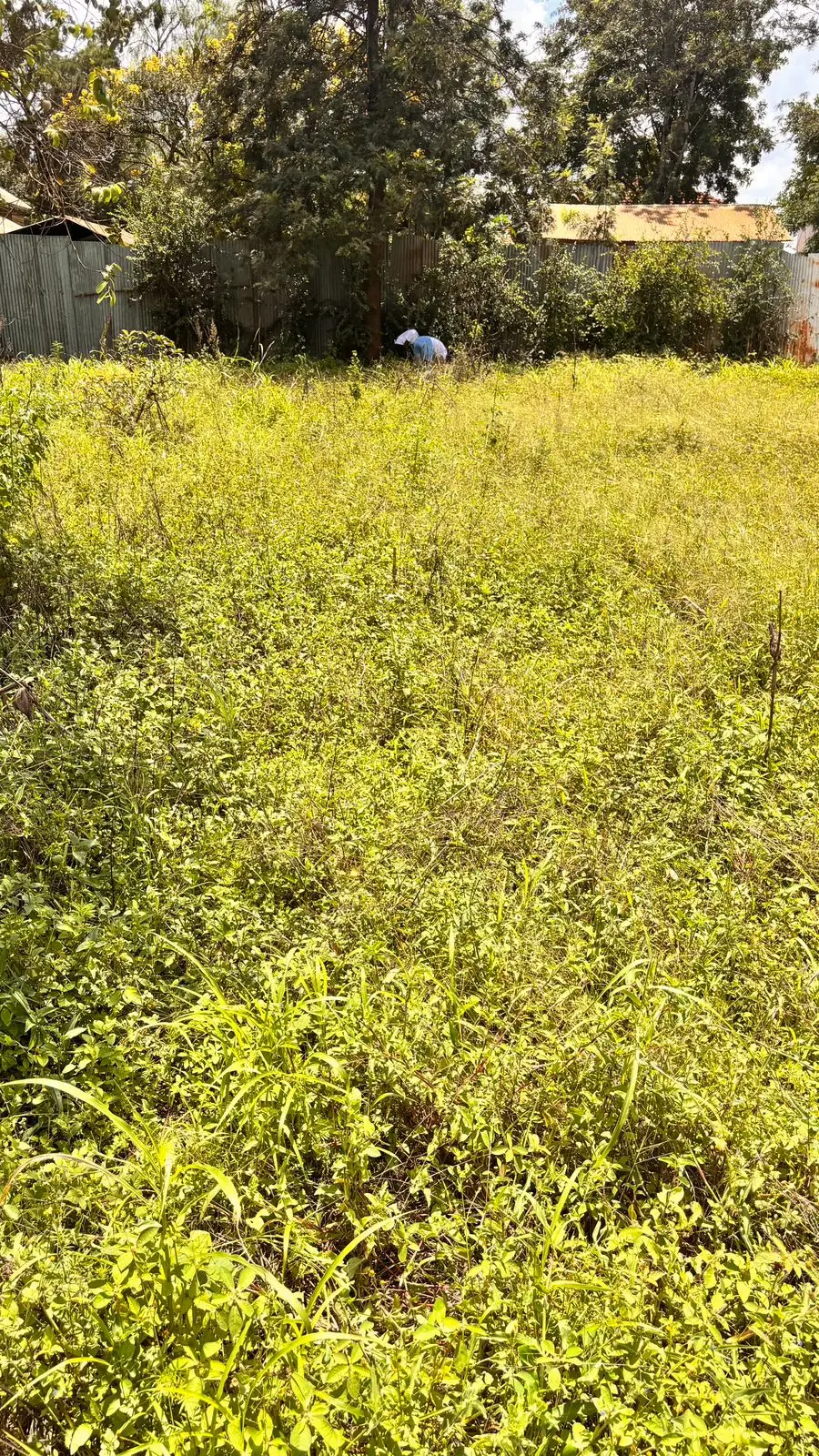 40 BY 80 PLOTS FOR SALE IN JUJA, GWA KAIRU.