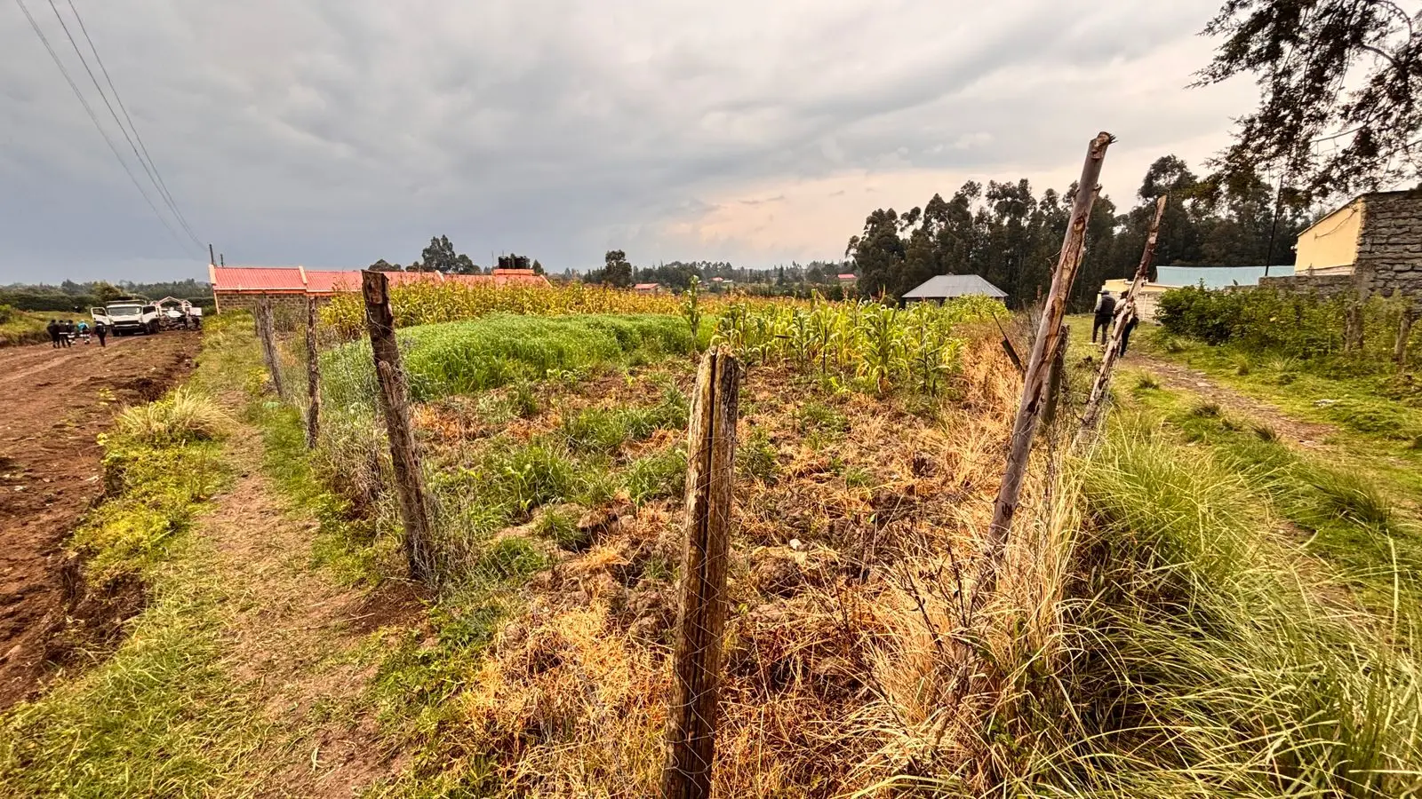 1/2 ACRE FOR SALE IN NYANDARU, ENGINEER TOWN.