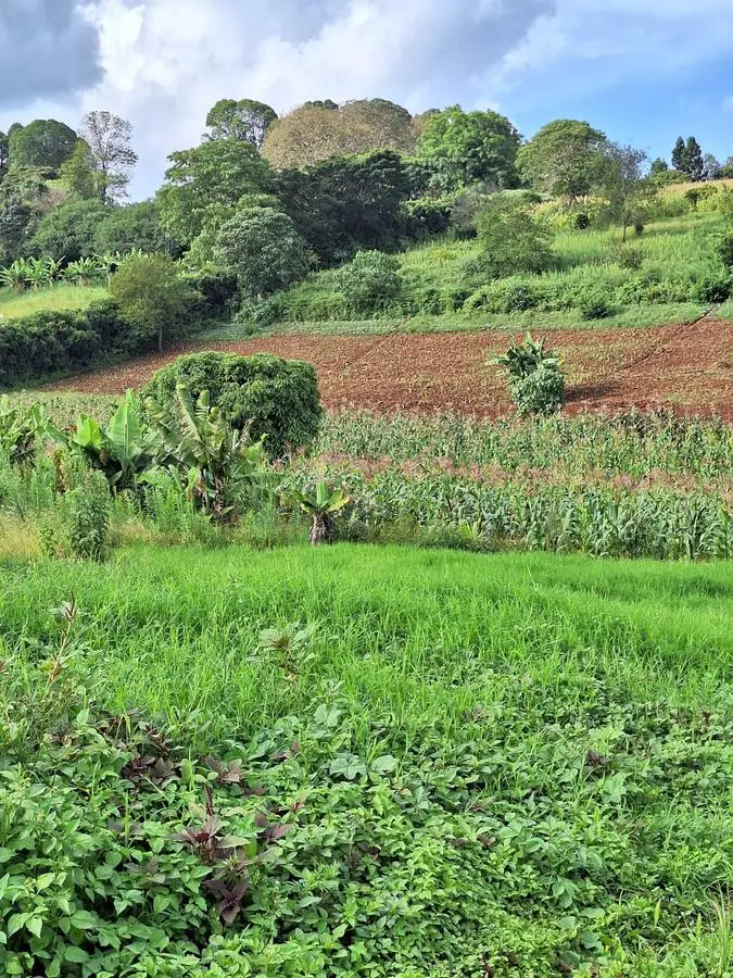 1 ACRE FOR SALE IN LIMURU, TIGONI.
