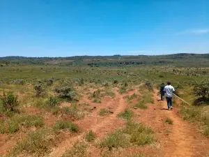 50 BY 100 PLOTS FOR SALE IN KIKUYU, KARAI.