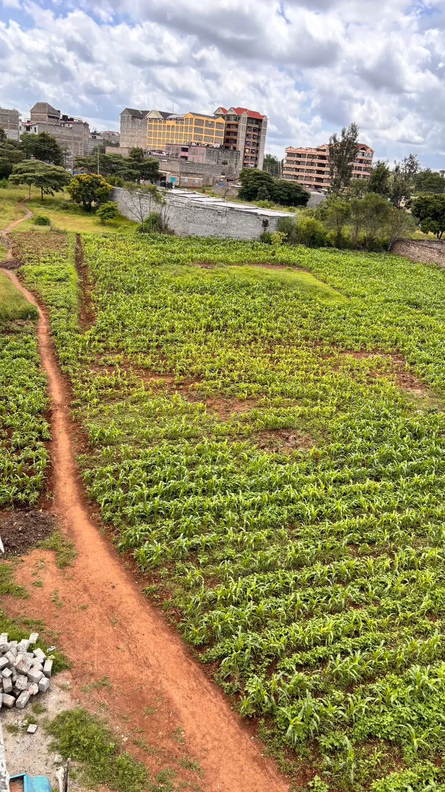 40 by 60 plots for Sale in Juja, Murera.