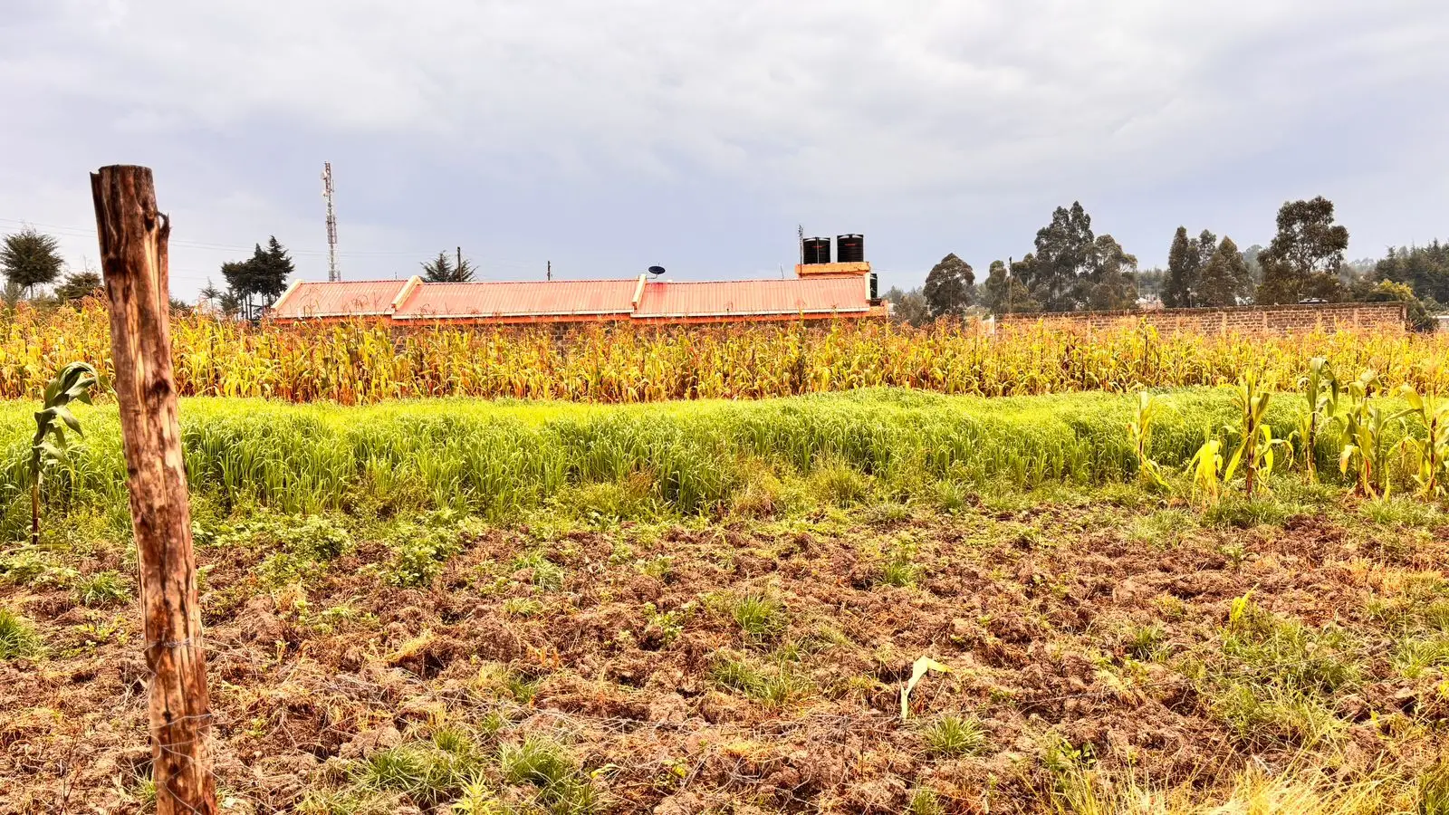 1/2 ACRE FOR SALE IN NYANDARU, ENGINEER TOWN.