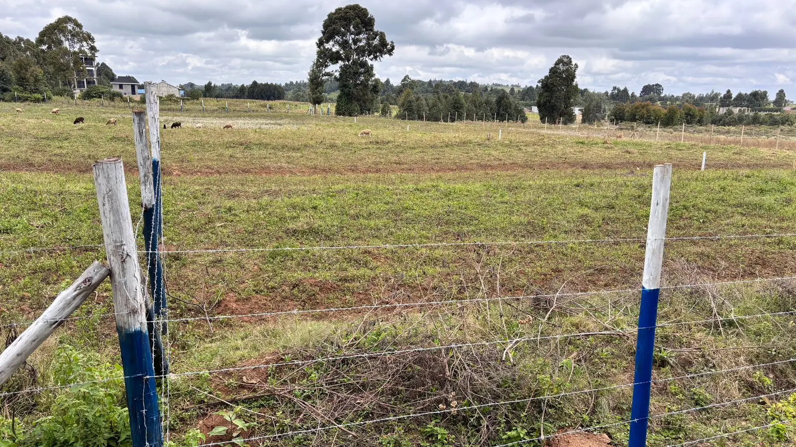 50 BY 100 PLOTS FOR SALE IN NDEIYA, NGUIRUBI.