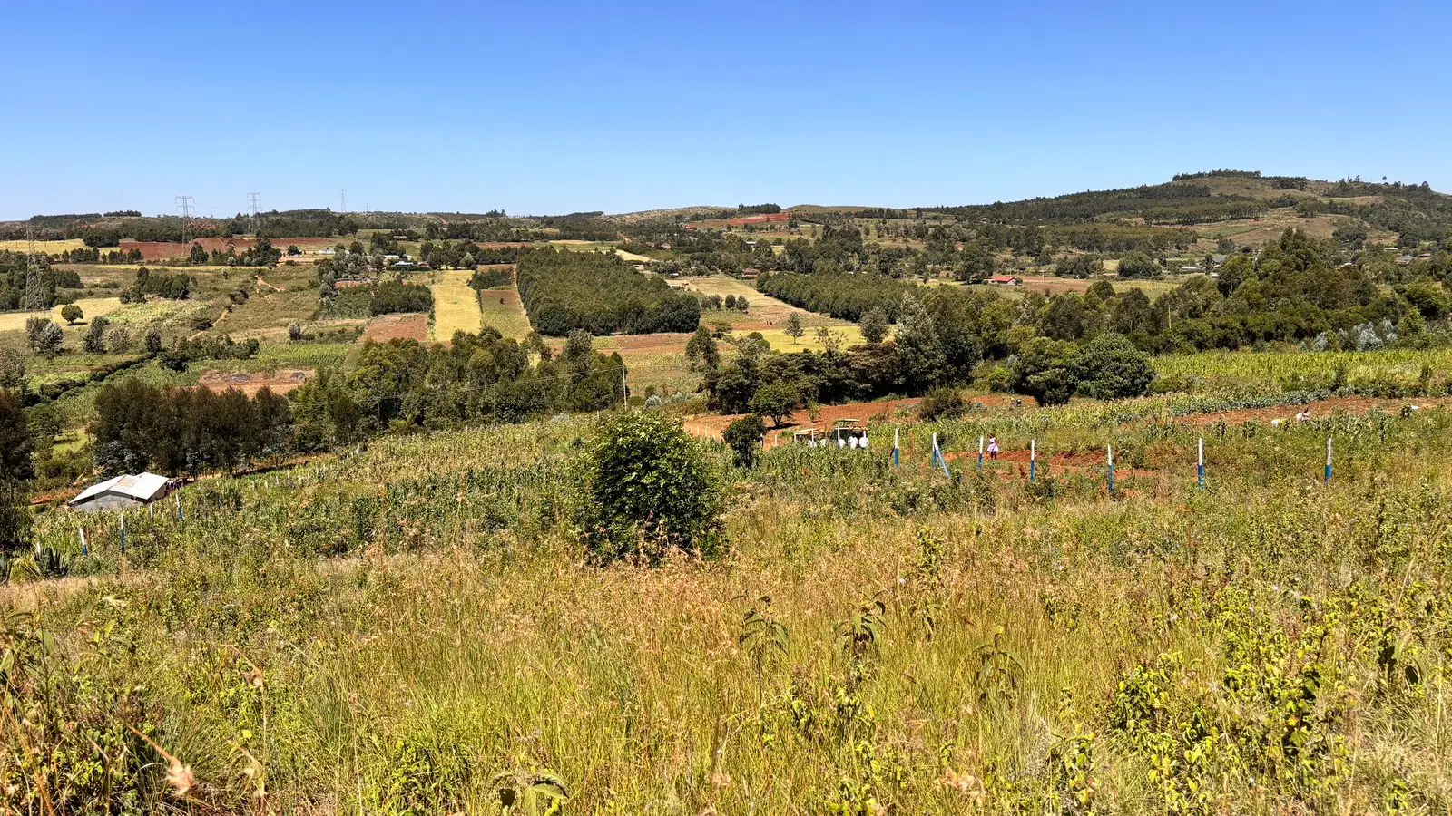 50 BY 100 PLOTS FOR SALE IN KIKUYU, THIGIO.