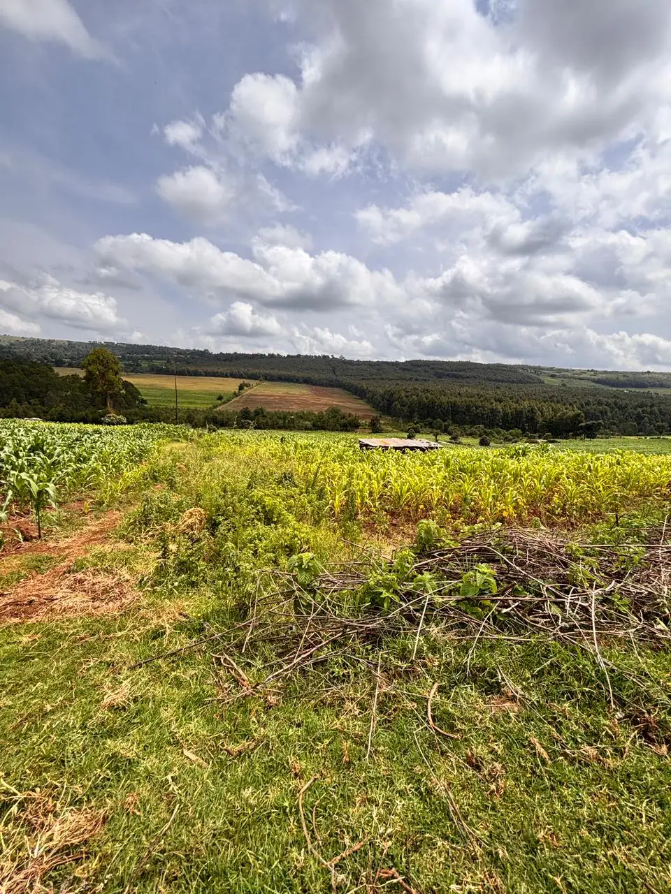 100 BY 100 PLOTS FOR SALE IN KINANGOP, ENGINEER