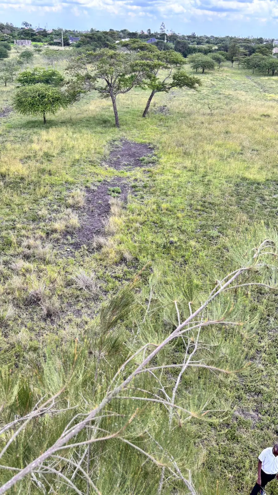 50 BY 100 PLOTS FOR SALE IN JUJA FARM.