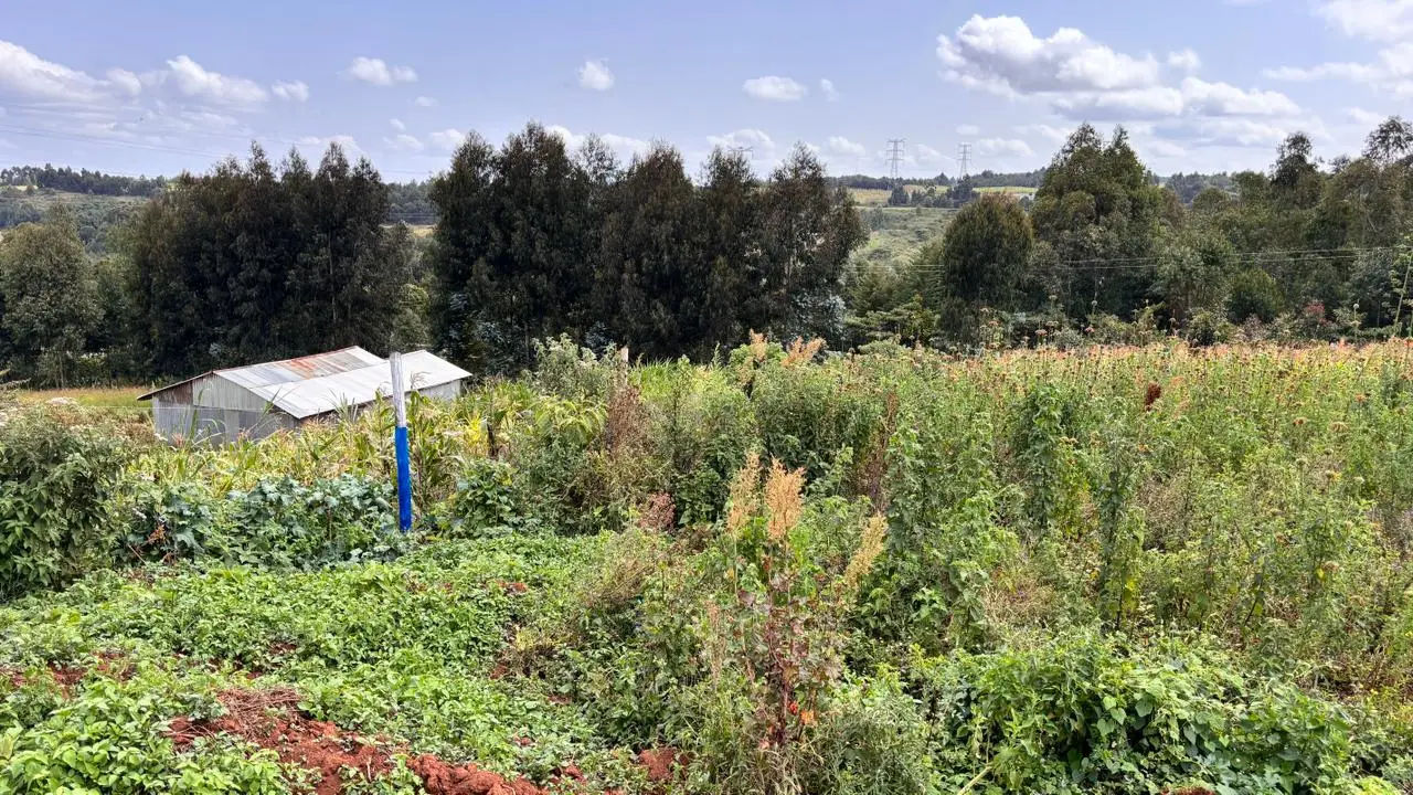 50 BY 100 PLOTS FOR SALE IN KIKUYU, THIGIO.
