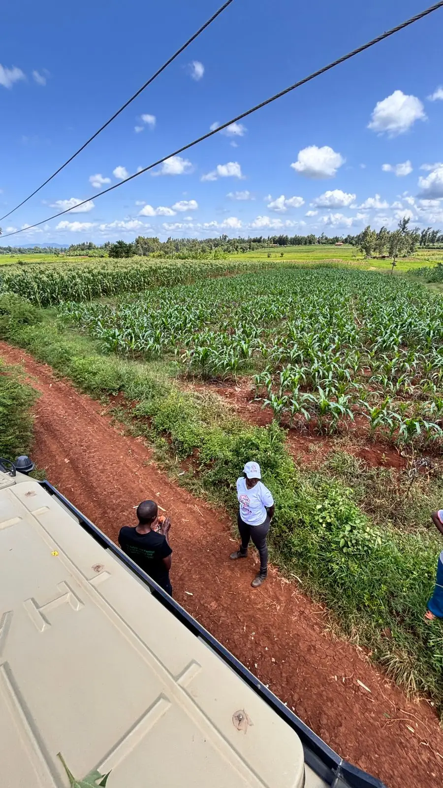 1 ACRE FOR SALE IN KIRINYAGA, KIMBIMBI.