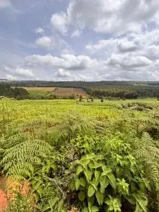 LAND FOR SALE IN NYAHURURU, IGWAMITI.