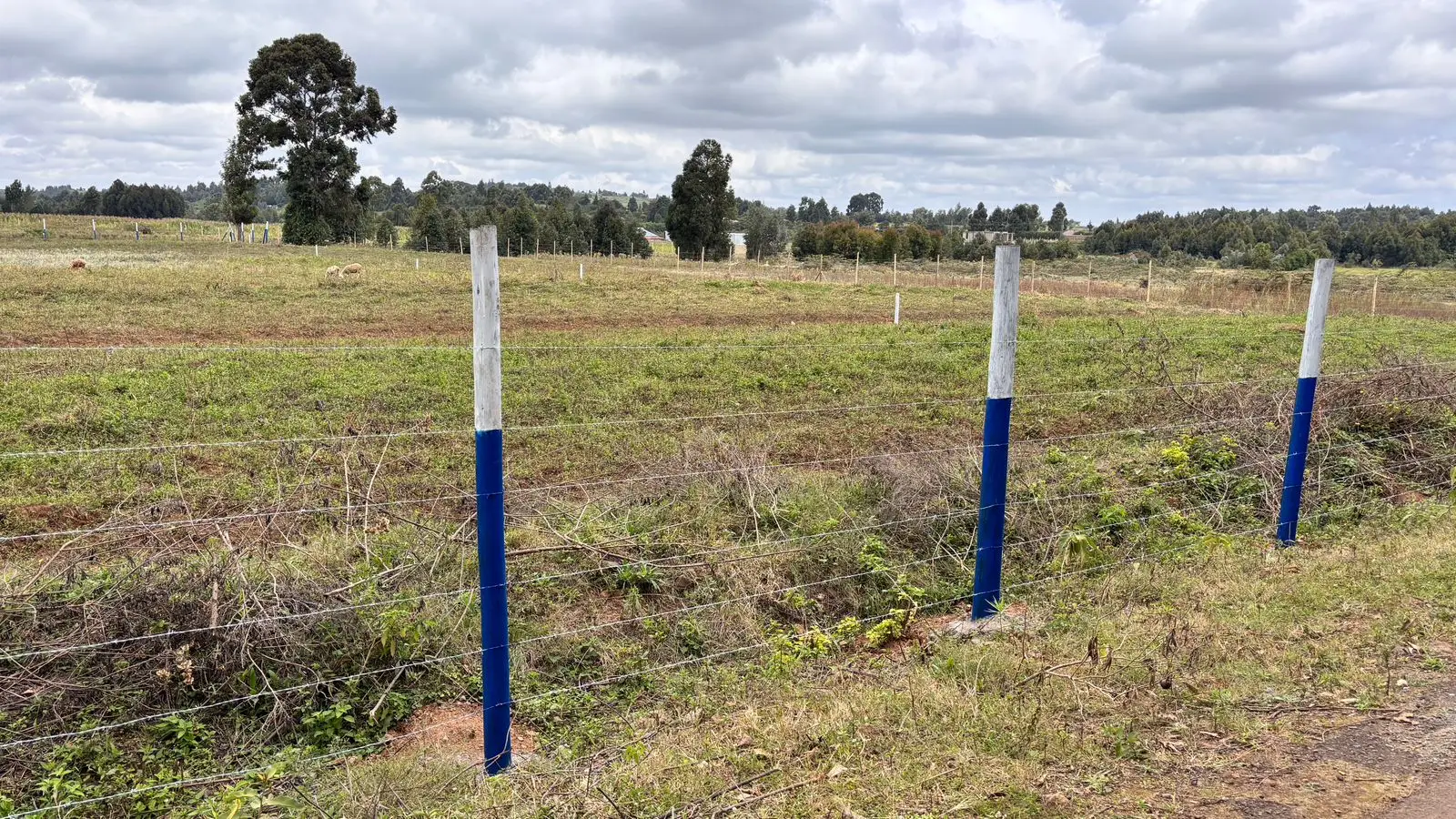 50 BY 100 PLOTS FOR SALE IN NDEIYA, NGUIRUBI.