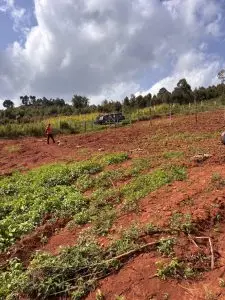 PLOTS FOR SALE IN KIKUYU, THIGIO.